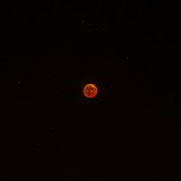 Лунное затмение (2) :: Александр Морозов