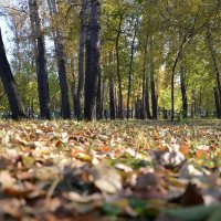 Осенний парк :: юрий Амосов
