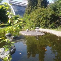 Японский уголок  ботанического сада :: Виктор Елисеев