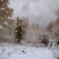 Снежный октябрь :: Сергей Брагин