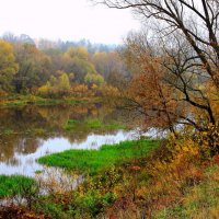 И лишь осока зеленеет... :: Лесо-Вед (Баранов)