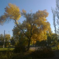 Осень :: Valeriya Voice
