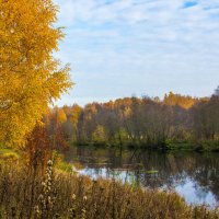 Осенний парк :: Владимир Буравкин