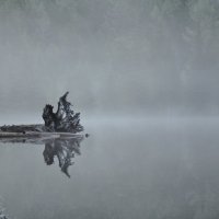 Мультинское озеро :: Вячеслав Спиридонов