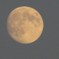 Луна :: Елена Шишлянникова