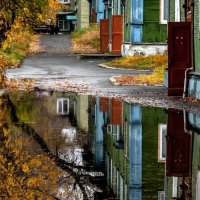 urban backyards :: Dmitry Ozersky