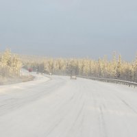 Первый снег. :: Галина Полина