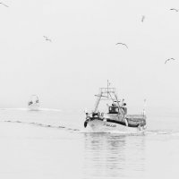 Рыбаки возвращаются утром :: Анастасия Богатова