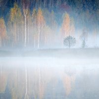 Туман на озере :: Полина Негус 