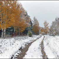 Между осенью и зимой :: Николай Белавин