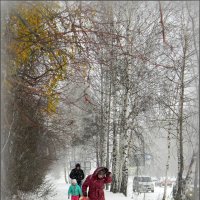 снегопад в октябре :: Надежда Ерыкалина