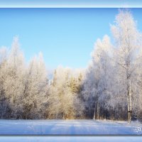 Зимняя лазурь... :: Элен .