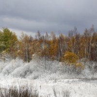 Первый снег :: Елена Гаврилова lega