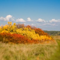 Краски осени :: Влад Никишин