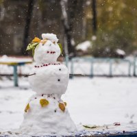 первый снег! :: Соня Орешковая (Евгения Муравская)