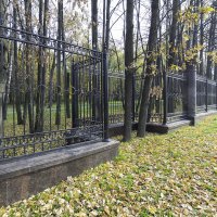 Решетка ограды Останкинского парка :: Александр Аксёнов