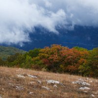 Осеннее :: Николай Казачёк