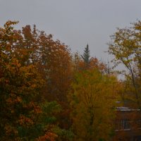 Осень в Ростове :: Дарья Костенко