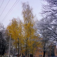 Осень :: Алексей Golovchenko