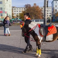 ** :: Наталья Василькова