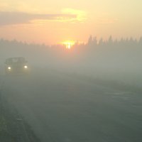 Туман. :: Елена Звягинцева