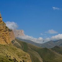 одинокий полет :: Сергей Строгонов