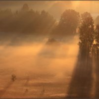 В тумане золотом :: Надежда Лаврова