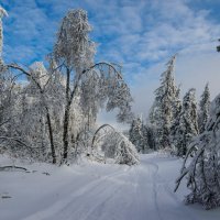 пейзаж :: Сергей 