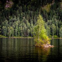 Саяногорск. Майнинское :: Sergey Yatmasov