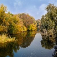 Осенние мотивы :: георгий   петькун 