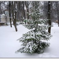 Первый снег.Пермь :: Viktor Makarov