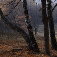 Осеннее солнечное :: Alexandra Vik -