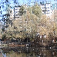 Дом у реки :: Олег Гудков