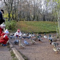 взаимопонимание детей и птиц :: gribushko грибушко Николай