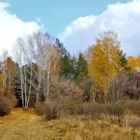 Пейзаж :: Александр Садовский