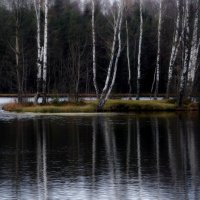 Роняет лес багряный свой убор.... :: Юрий Цыплятников