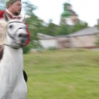 смешались в кучу кони люди :: ЕленаРыжкова 