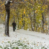 Первый снегопад. :: Максим Баранцев