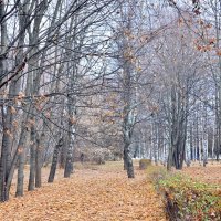Осень ... :: Kirill 