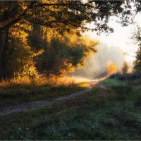 Осеннее утро :: Сергей Шабуневич