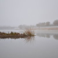 Туман на реке. :: Ольга Лёлина