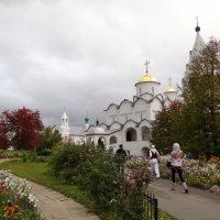 Покровский  монастырь :: Валентина. .