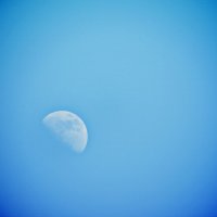 Луна :: Дарья Подолянець
