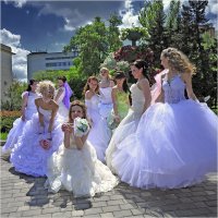 Парад невест. :: viktor minchenko