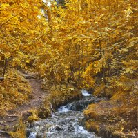 осенний водопад :: Наталья Золотарева