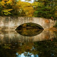 Осенний мост :: Alexander Andronik