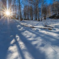 Теплый снег :: Денис Соломахин