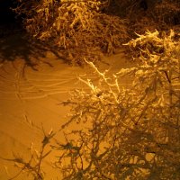 Снег ночью :: Натали Акшинцева
