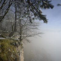 Утренний туман :: Медведев Сергей 