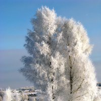 Зима :: Ольга Маркова